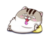 upload_2025-5-17_19-58-20.png