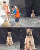 FB_IMG_1747532198980.jpg