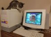 IMG_3199.jpeg