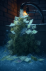 upload_2025-5-23_6-12-32.png