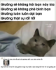 img_1_1738577270743.png