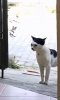 IMG_8466.jpeg