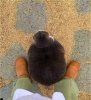 IMG_7105.jpeg