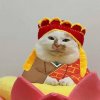IMG_7161.jpeg