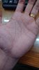 upload_2025-5-27_16-19-33.jpeg