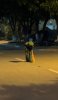 IMG_7190.jpeg