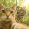 FB_IMG_1748417701744.jpg