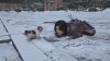 upload_2025-5-28_17-58-55.jpeg