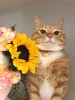 IMG_7067.jpeg