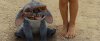 dieu-gi-khien-disney-thanh-cong-voi-phien-ban-live-action-lilo-stitch-8.jpg