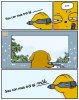 IMG_7231.jpeg