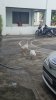 Messenger_creation_95722C81-10B1-4109-80C8-2E32678B8AE0.jpeg
