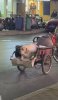 IMG_7243.jpeg