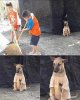 IMG_7028.jpeg