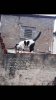 IMG_7272.jpeg