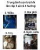 IMG_8560.jpeg