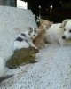 FB_IMG_1748923892580.jpg