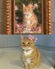 IMG_7315.jpeg