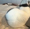 IMG_7485.jpeg