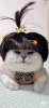 IMG_7442.jpeg
