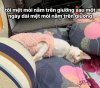 IMG_1999.jpeg