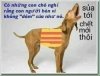 IMG_0668.jpeg