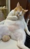 IMG_7518.jpeg