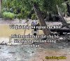 FB_IMG_1749705391662.jpg
