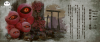 upload_2025-6-15_15-22-2.png