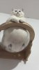 IMG_7700.jpeg