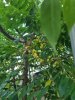 IMG_20250618_065140.jpg