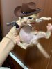 IMG_8919.jpeg