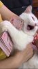 IMG_8938.jpeg