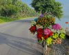 IMG_7673.jpeg