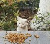 IMG_8970.jpeg