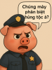 upload_2025-6-25_9-32-47.png