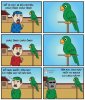 IMG_7802.jpeg