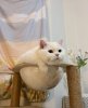 IMG_7816.jpeg