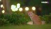 IMG_8472.jpeg