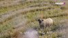 IMG_8476.jpeg
