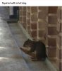 FB_IMG_1751212429159.jpg