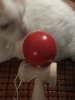 IMG_7895.jpeg