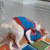 FB_IMG_1751376434526.jpg