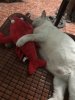 IMG_7914.jpeg