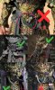 upload_2025-7-2_21-53-50.jpeg