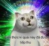 upload_2025-7-4_10-31-28.jpeg