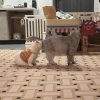 FB_IMG_1751635349706.jpg