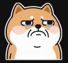 upload_2025-7-6_7-59-55.jpeg