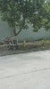 received_1458172155619650.jpeg