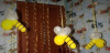 upload_2025-7-6_20-38-3.png
